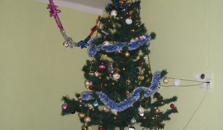 Posedenie pod jedličkou r.2011